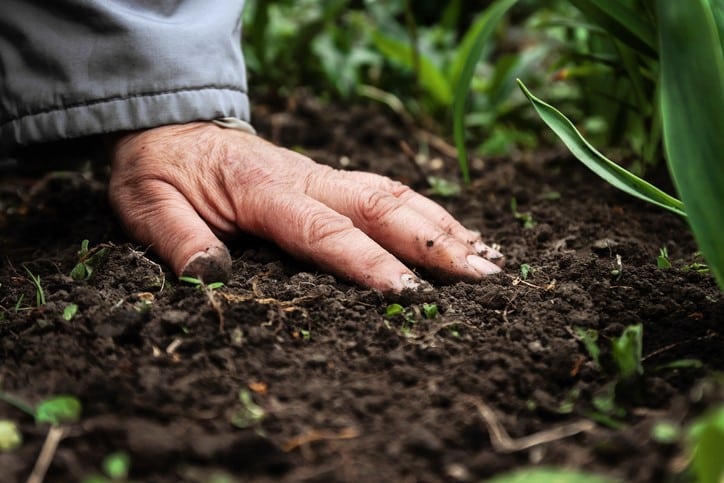 Hand on earth