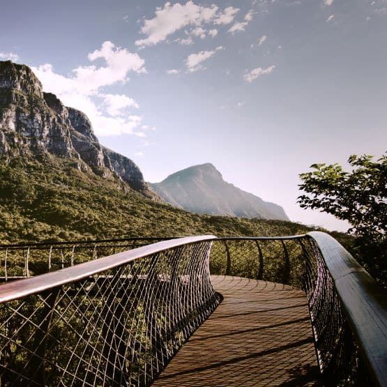 Kirstenbosch Botanical Gardens