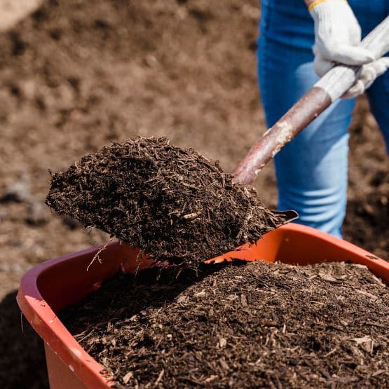 10 Golden Rules for Composting