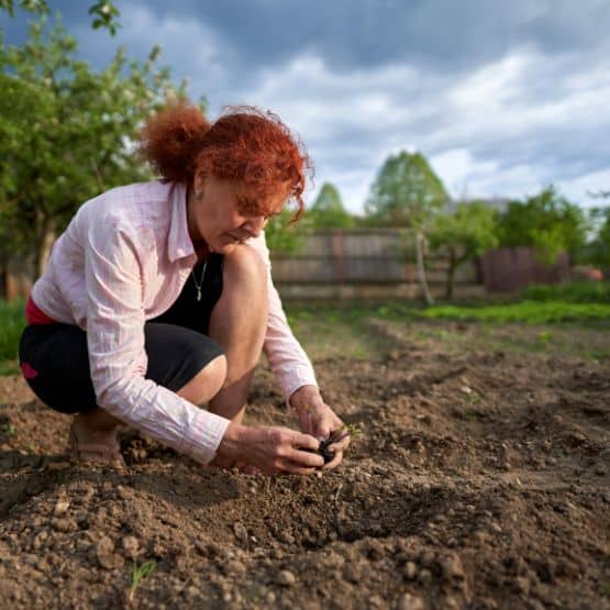 What is eco-gardening?
