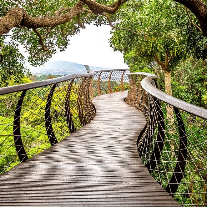 Kirstenbosch Botanical Gardens
