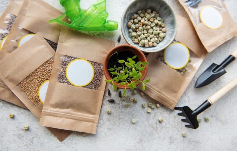 How to harvest and store your seeds