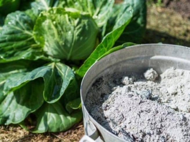 Ways to reuse your wood ash