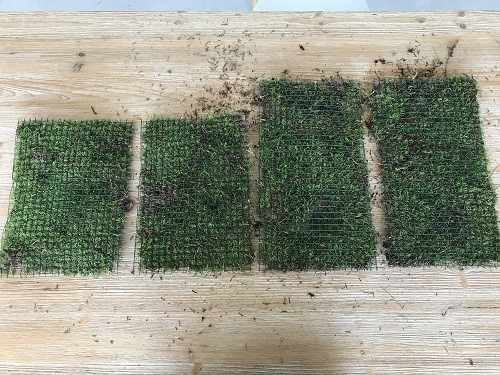 Create your own flower box out of moss