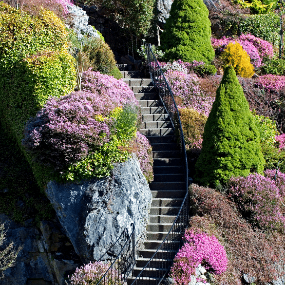 Garden Inspiration