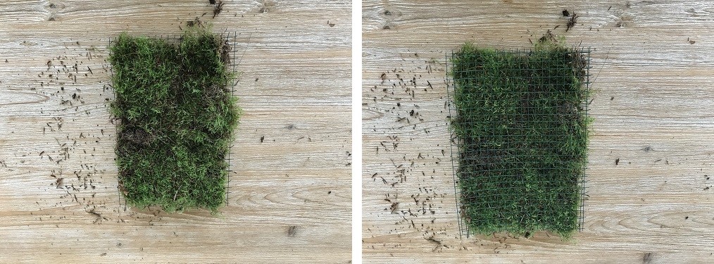 Create your own flower box out of moss