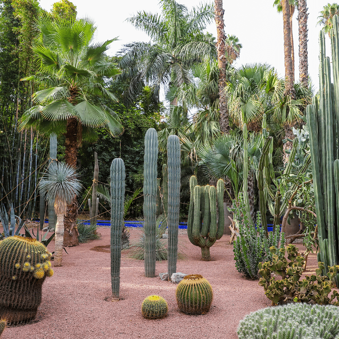 The Majorelle Garden