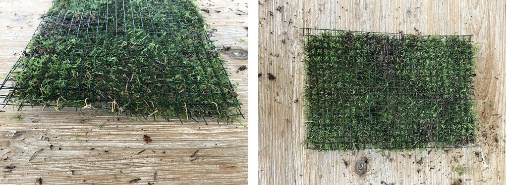 Create your own flower box out of moss