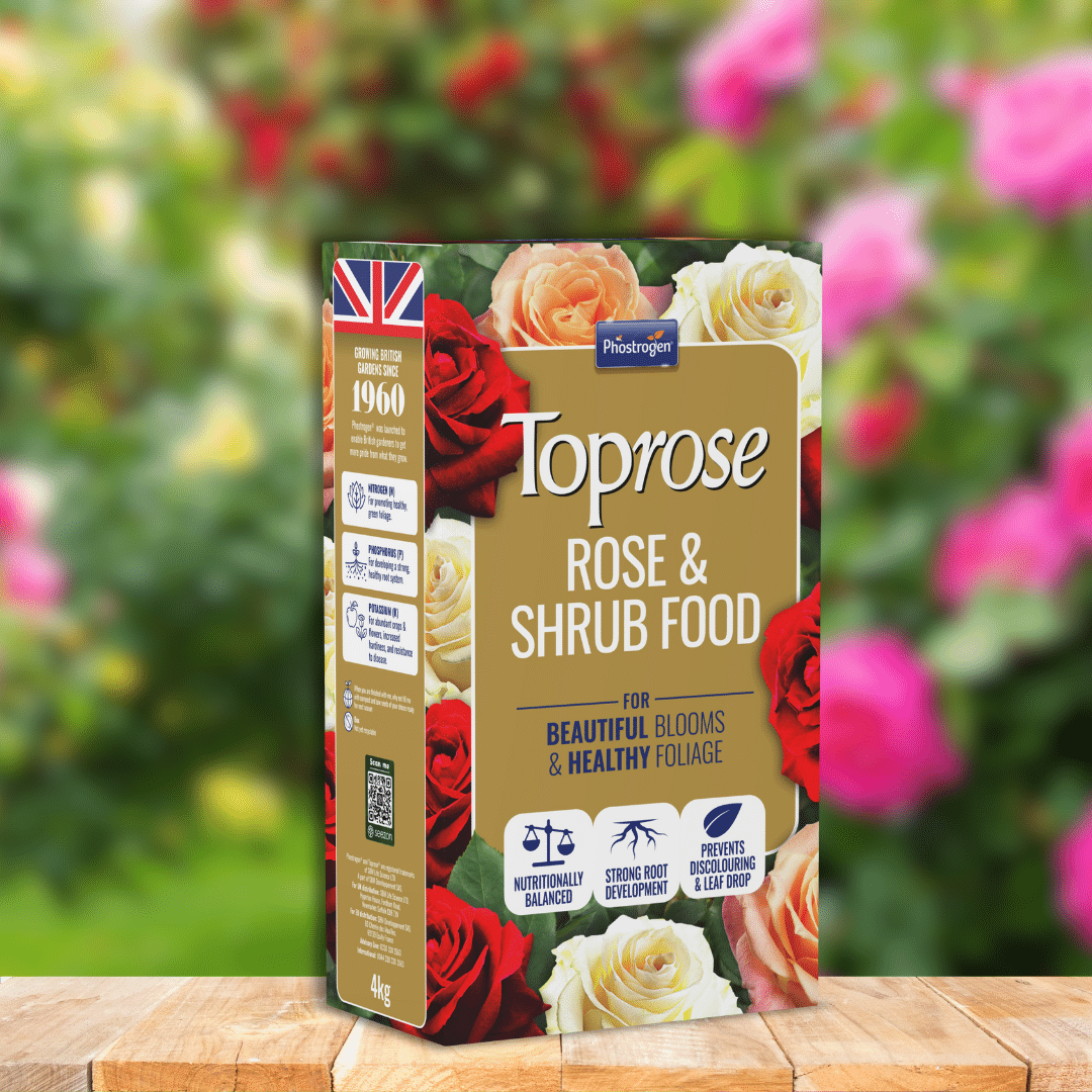 toprose 4kg lifestyle