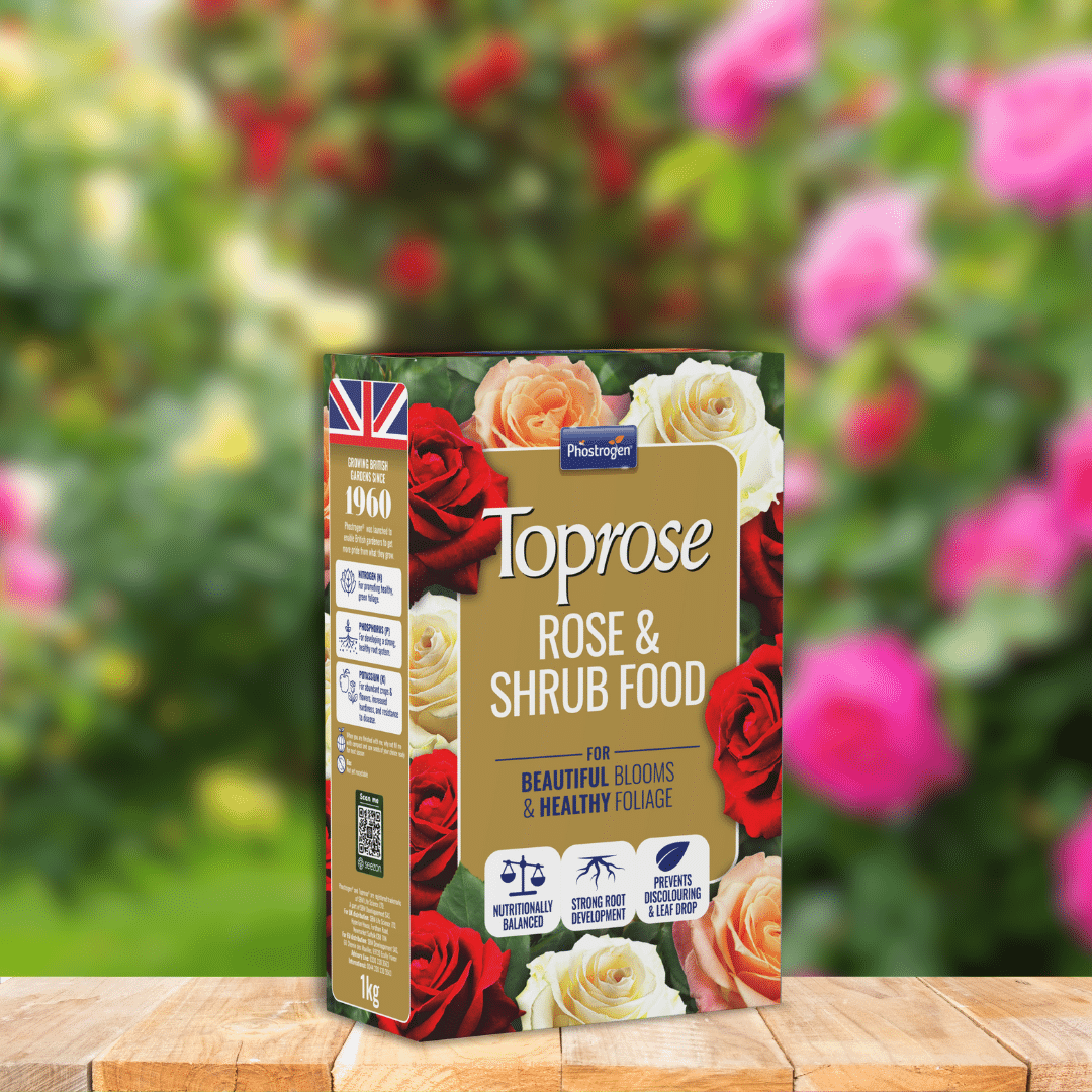 toprose 1kg lifestyle