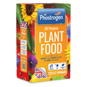 Phostrogen All Purpose Plant Food 2kg