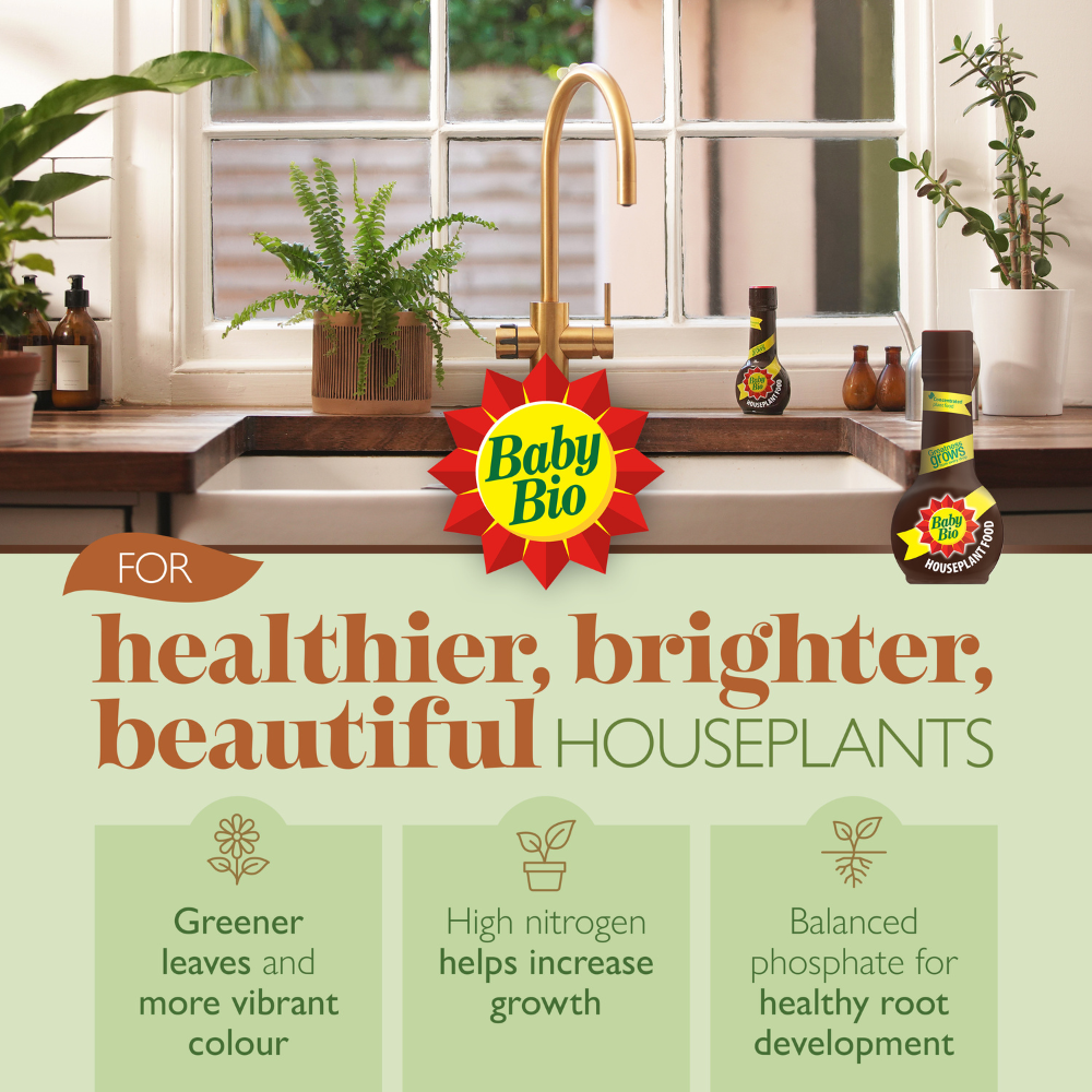 Baby Bio Houseplant Food - Seezon UK