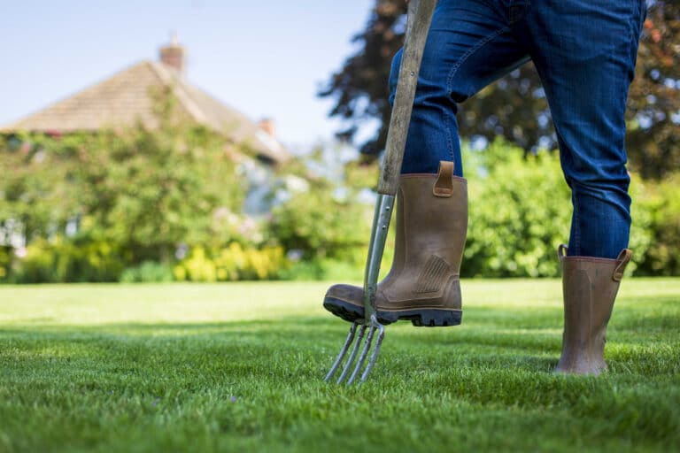 preparing your lawn